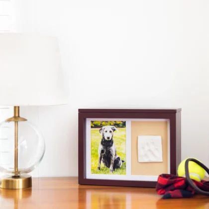 Pet Memory Box & Pawprint Impression Kit - Espresso