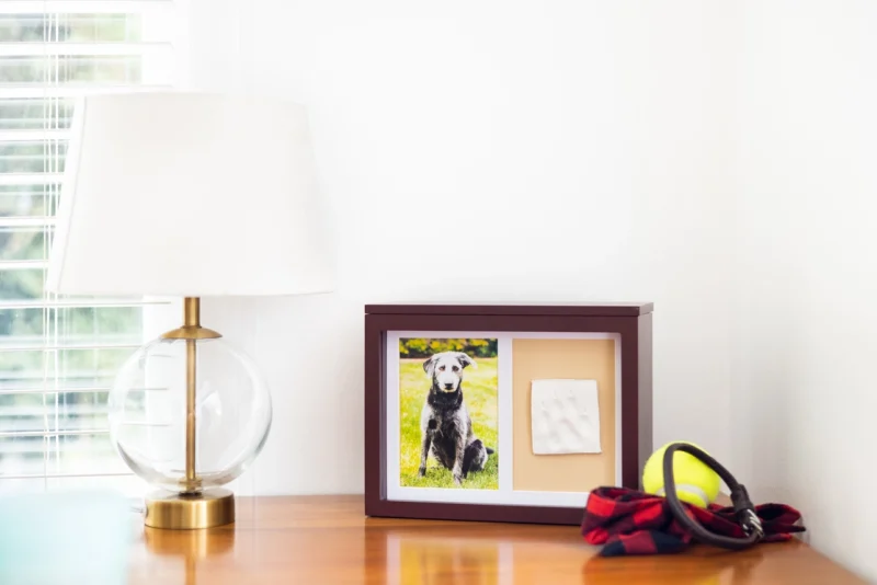 Pet Memory Box & Pawprint Impression Kit - Espresso
