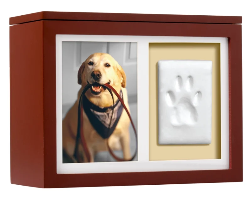 Pet Memory Box & Pawprint Impression Kit - Espresso - Image 5